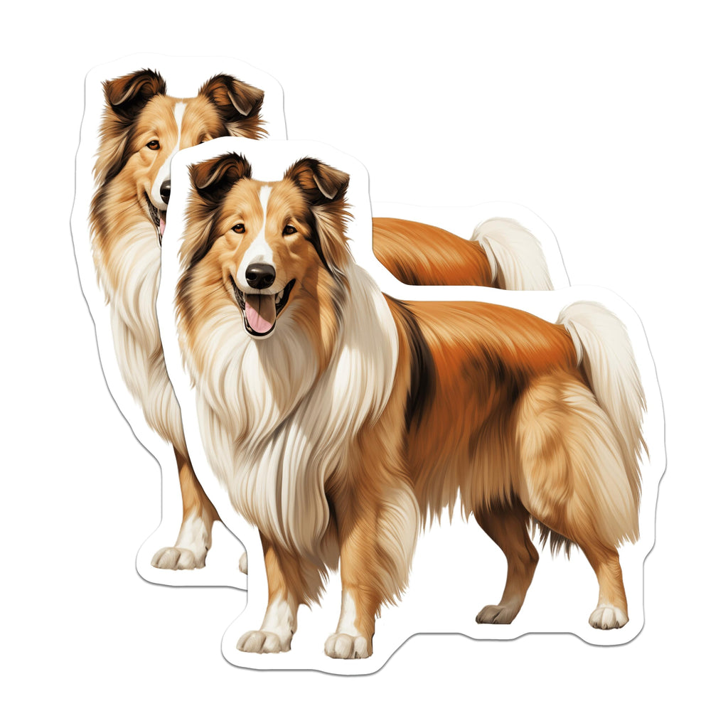 (2 Pack) Rough Collie Magnets - Dog Lover Decor - Pet Parent Accessories - 5 Inches On Longest Side - Thick Durable Magnet - Made in USA - MAG28837
