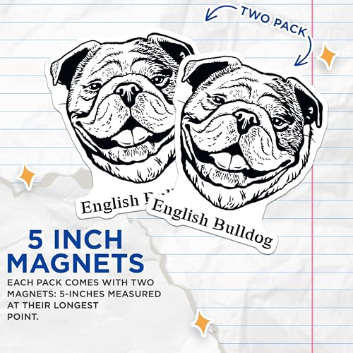 (2 Pack) English Bulldog Magnets - Dog Lover - Animal Art Fridge Accessories - 5" On Longest Side - for Cars, Fridges, Toolboxes - Made in USA - MAG4028