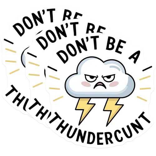 (3 Pack) Offensive Humor Decals - Sarcastic Quote - Laptop Decal - 3 Inches On Longest Side - Easy Peel & Apply - Made in USA - 3MCS7436