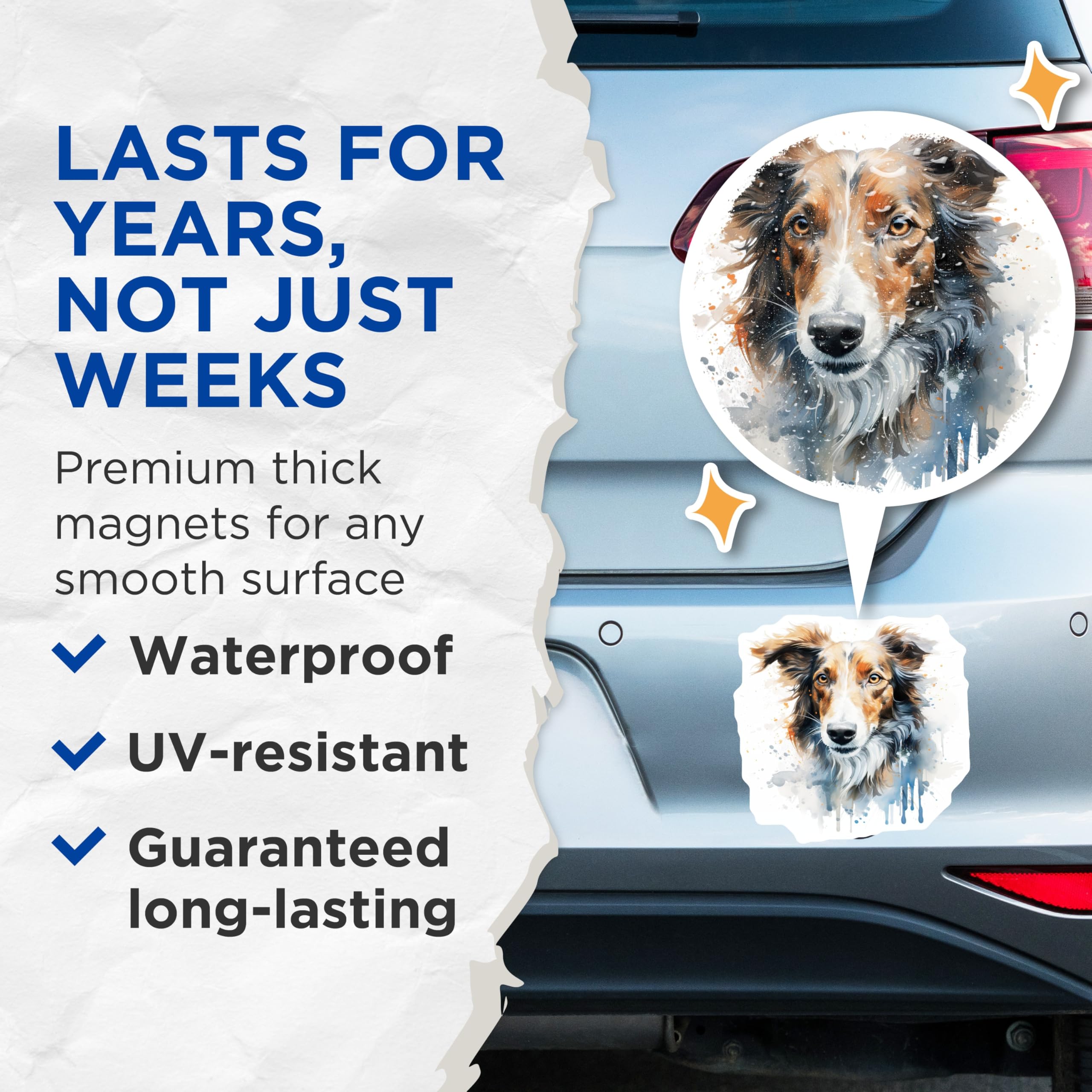 (2 Pack) Border Collie Magnets - Watercolor Dog Art - Pet Animal Lover - 5 Inches On Longest Side - Thick Durable Magnet - Made in USA - MAG24491
