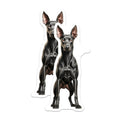 (2 Pack) Doberman Pinscher Magnets - Dog Lover Kitchen Decor - Pet Parent Refrigerator Art - 5 Inches On Longest Side - Thick Durable Magnet - Made in USA - MAG30624