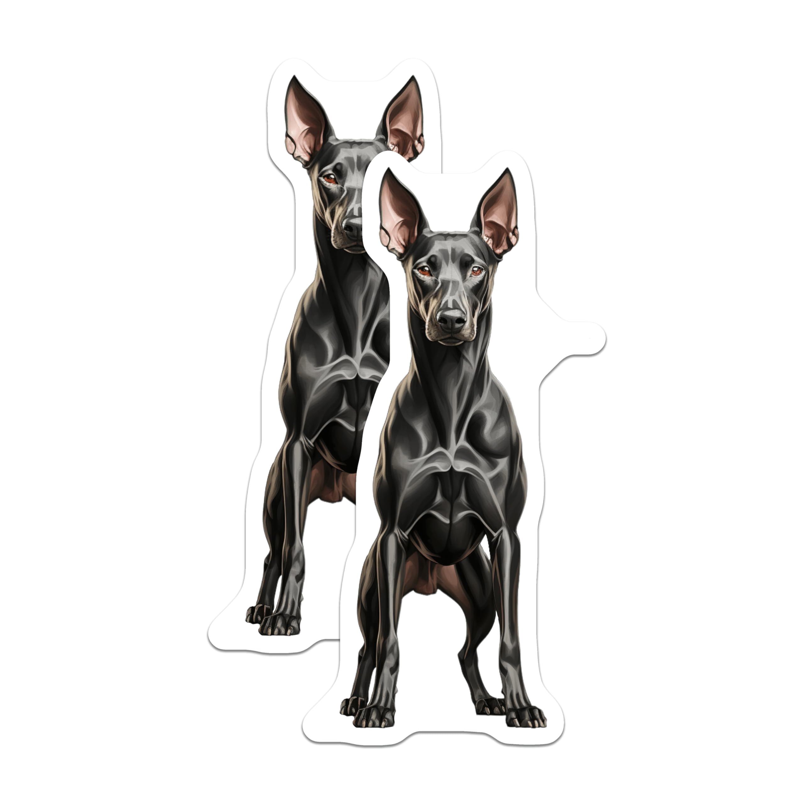 (2 Pack) Doberman Pinscher Magnets - Dog Lover Kitchen Decor - Pet Parent Refrigerator Art - 5 Inches On Longest Side - Thick Durable Magnet - Made in USA - MAG30624
