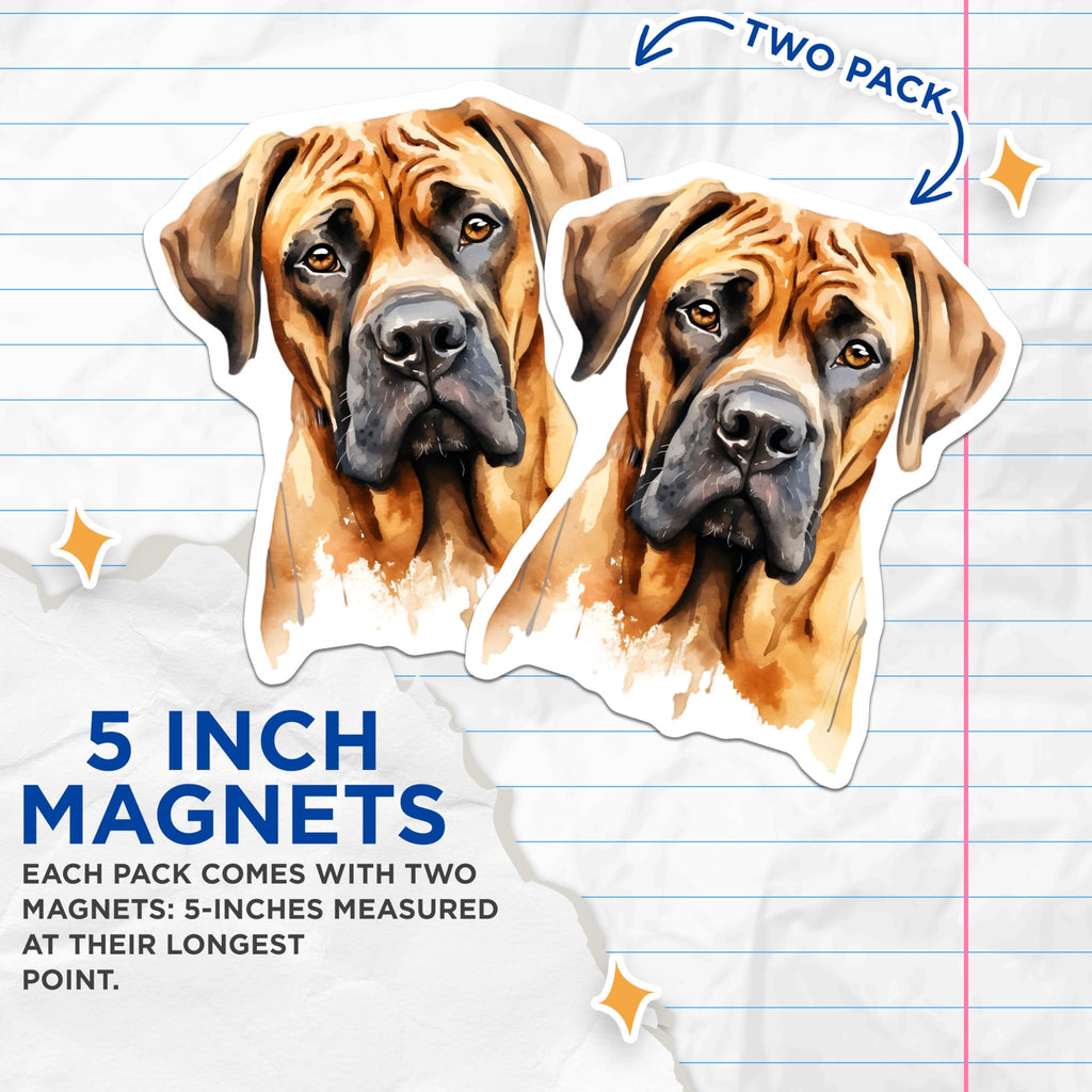 (2 Pack) English Mastiff Dog Magnets - Watercolor Pet Art - Fridge Accessory - 5 Inches On Longest Side - Thick Durable Magnet - Made in USA - MAG23998