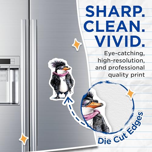 (2 Pack) Funny Animal Decor Magnet - 5" On Longest Side - Sticks to Smooth Flat Surfaces - Made in USA - MAG9493