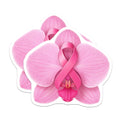 (2 Pack) Breast Cancer Awareness Magnets - Pink Ribbon Orchid Support - Survivor Hope Fighter Women's Health - 5 Inches On Longest Side - Thick Durable Magnet - Made in USA - MAG36246