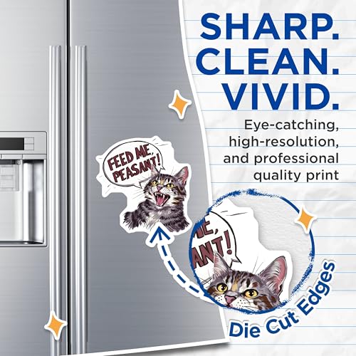 (2 Pack) Feed Me Peasant Magnets Magnets - Funny Cat Quote - Humorous Fridge Decor - 5" On Longest Side - Made in USA - Sticks to Refrigerators & Metal Surfaces - MAG8746