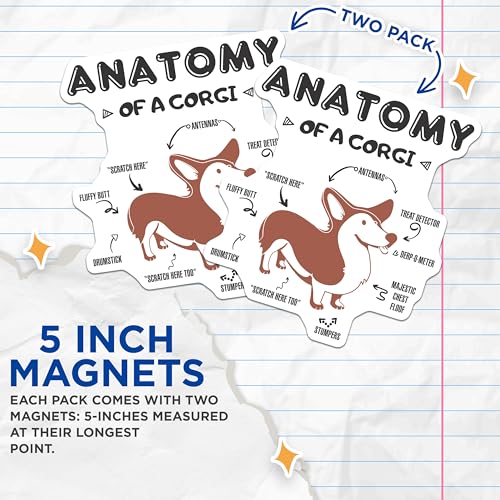 (2 Pack) Anatomy of A Corgi Magnets Magnets - Funny Dog Magnet - Dog Lover Decor for Home - 5" On Longest Side - Made in USA - Sticks to Refrigerators & Metal Surfaces - MAG8512