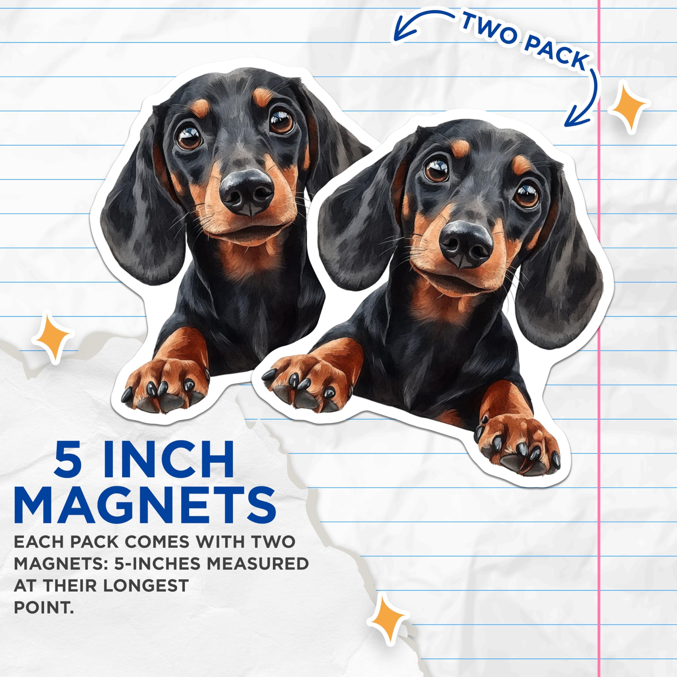 (2 Pack) Dachshund Magnets - Cute Dog Magnets - Pet Lover Fridge Decor - 5" On Longest Side - Premium Magnet - for Cars, Refrigerators, Toolboxes, Lockers - Made in USA - MAG14167