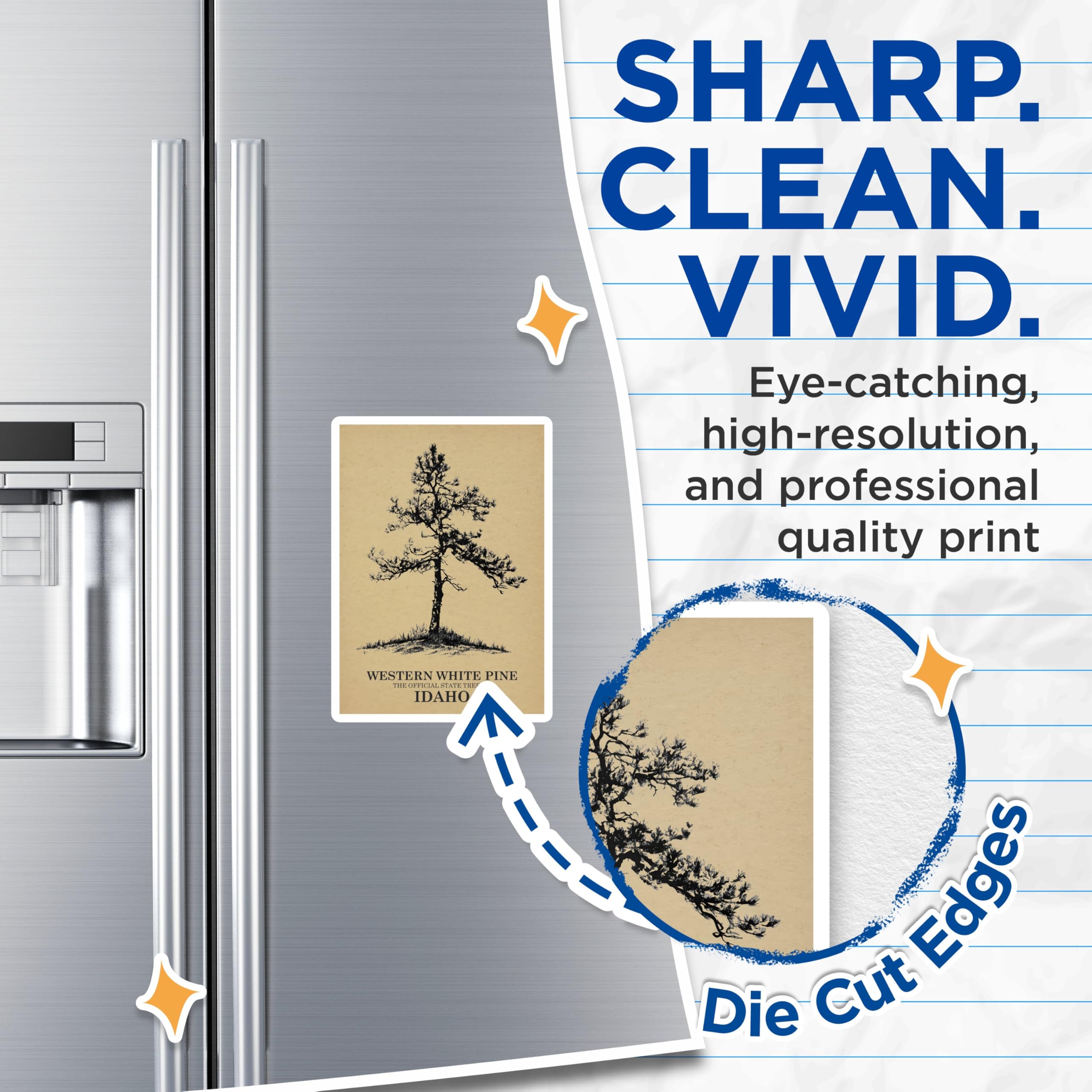 (2 Pack) Western White Pine Magnets - Idaho State Tree - Nature Decor - 5" On Longest Side - Premium Magnet - for Cars, Refrigerators, Toolboxes, Lockers - Made in USA - MAG17178