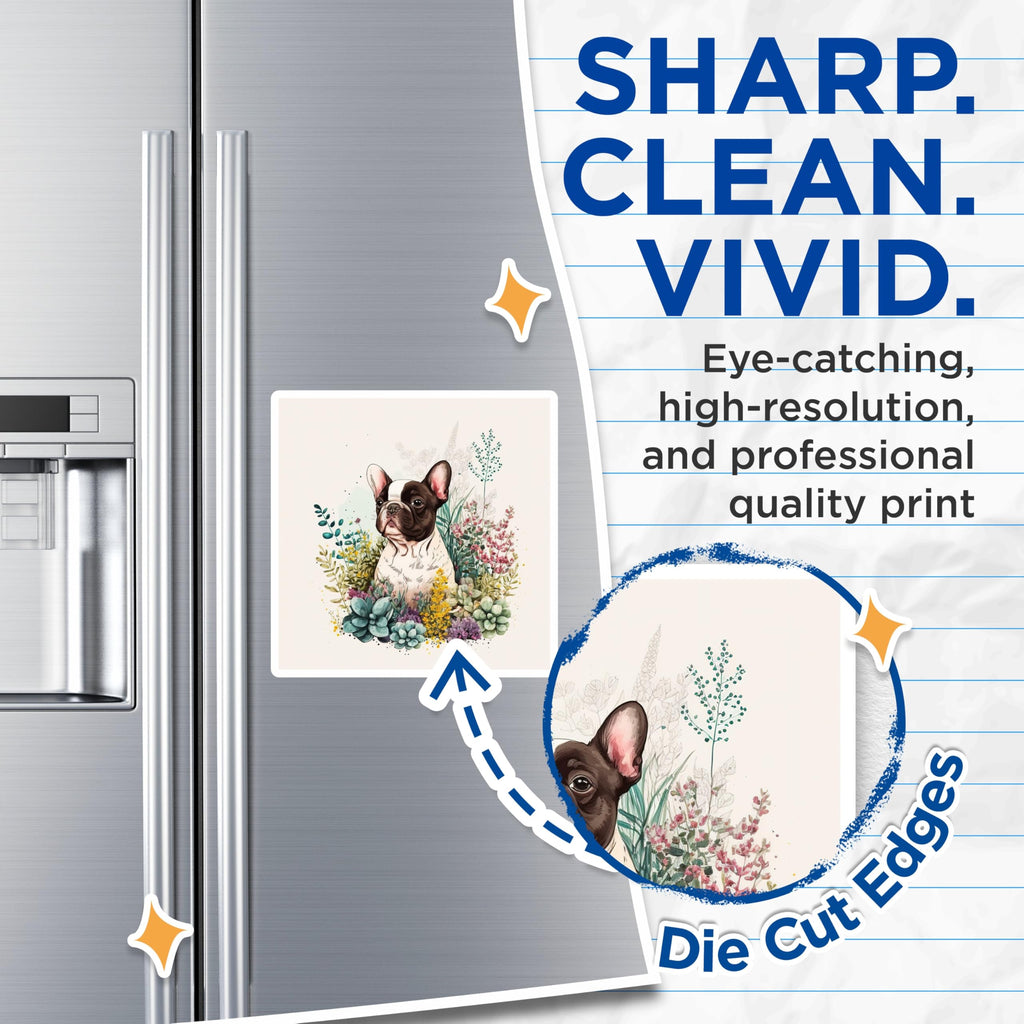 (2 Pack) French Bulldog Magnets - Dog Lover Fridge Magnets - Cute Animal Home Decor - 5" On Longest Side - Premium Magnet - for Cars, Refrigerators, Toolboxes, Lockers - Made in USA - MAG14952