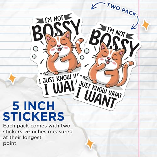 (2 Pack) Funny Cat Stickers - Cute Bossy Cat - I Know What I Want - 5" On Longest Side - Sticks to Smooth Flat Surfaces - Made in USA - BMCS5958