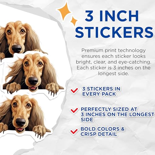 (3 Pack) Afghan Hound Decals - Laptop Decal - Dog Breed Stickers - 3 Inches On Longest Side - Easy Peel & Apply - Made in USA - 3MCS8579