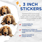 (3 Pack) Afghan Hound Decals - Laptop Decal - Dog Breed Stickers - 3 Inches On Longest Side - Easy Peel & Apply - Made in USA - 3MCS8579