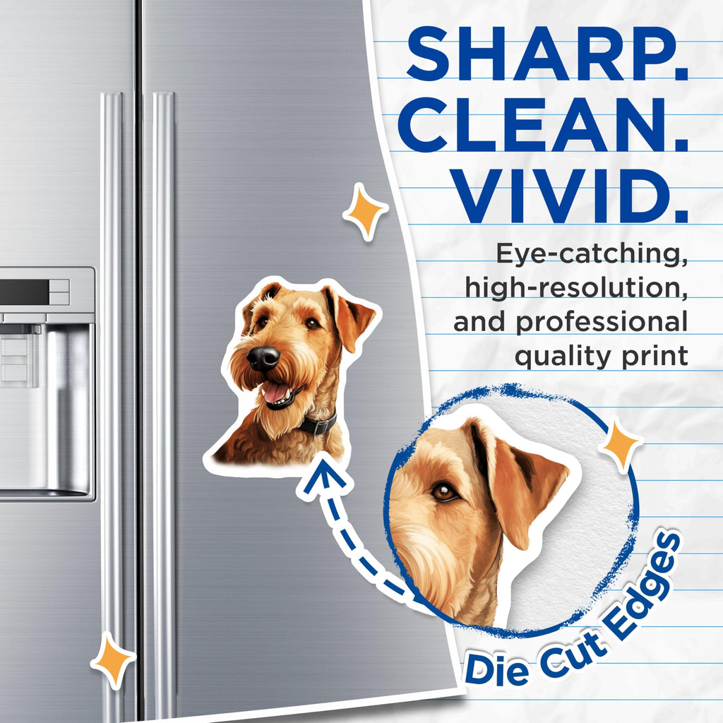 (2 Pack) Irish Terrier Magnets - Cheerful Dog Breed Artwork - Canine Enthusiast Refrigerator Display - Pet Lover Locker Decor - 5 Inches On Longest Side - Thick Durable Magnet - Made in USA - MAG24934