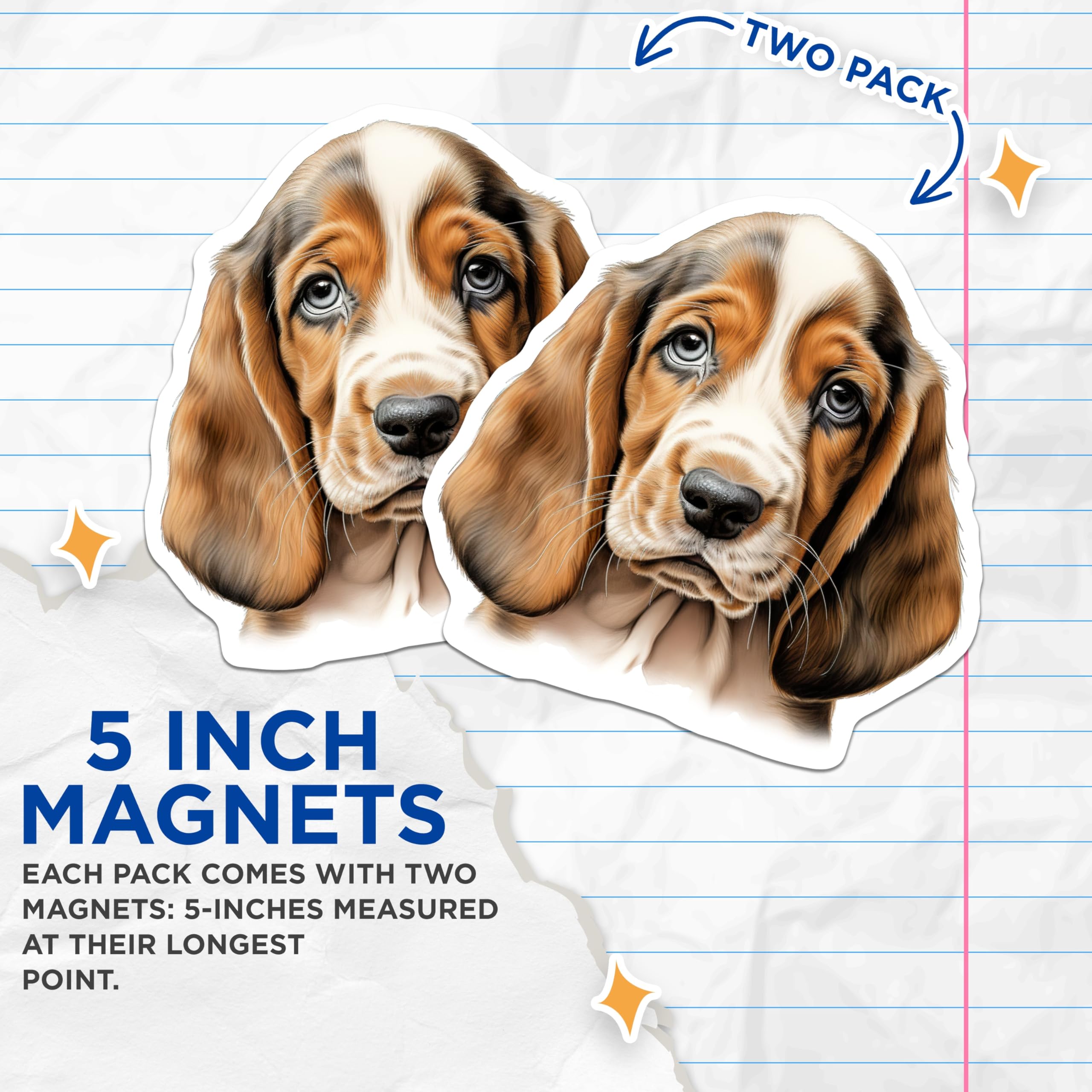 (2 Pack) Basset Hound Puppy Magnets - Cute Dog Lover Accessories - Pet Enthusiast Refrigerator Locker Office Home Decorations - 5 Inches On Longest Side - Thick Durable Magnet - Made in USA - MAG23320
