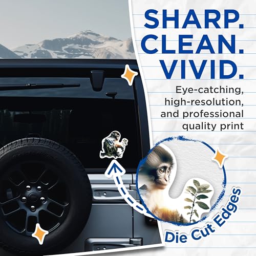 (2 Packs) Chimp with Mountains and Nature Stickers - Nature Outdoors Animal Decals - 5 Inches On Longest Side - Premium Vinyl Decal - Sticks to Any Smooth Flat Surface - Made in USA - BMCS2277