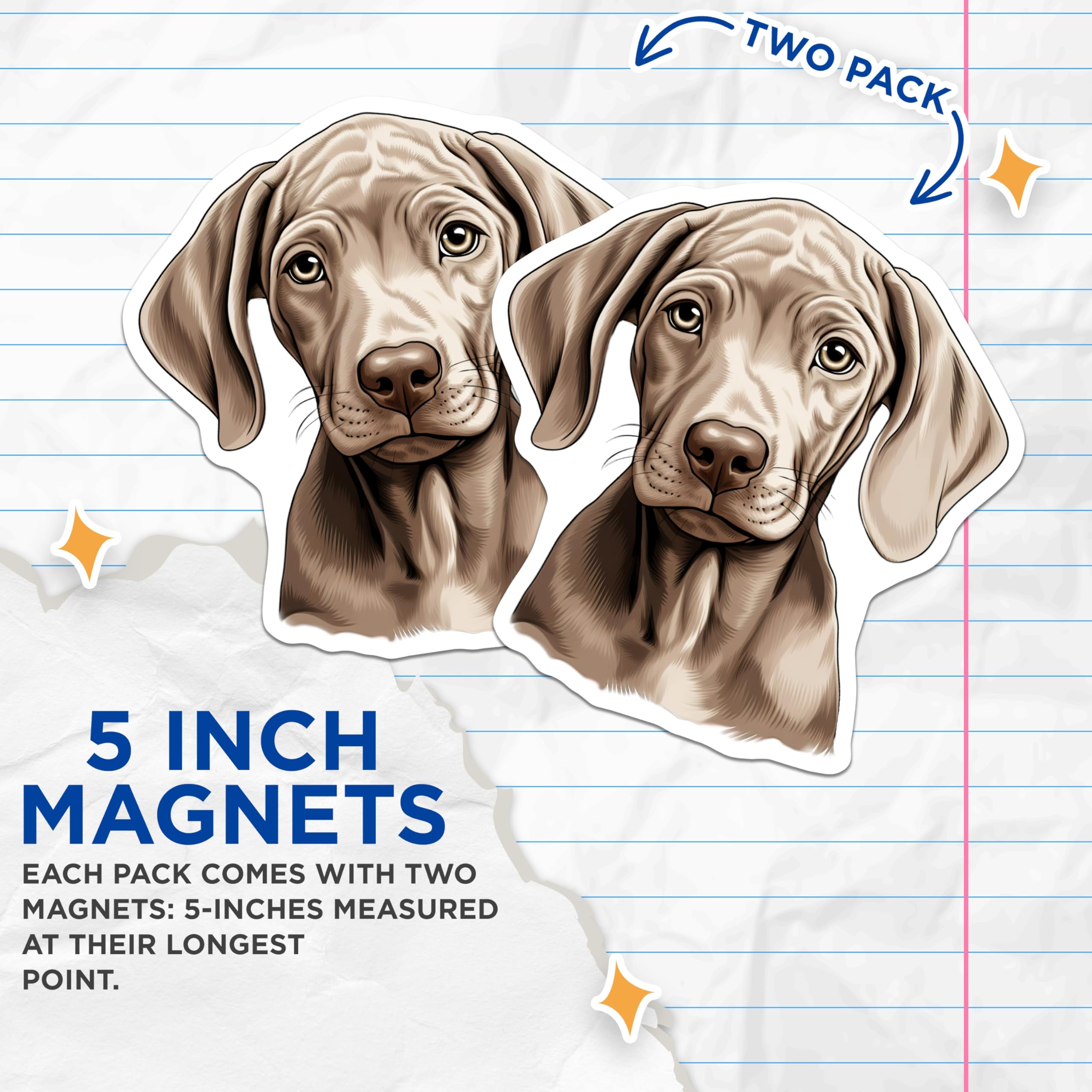 (2 Pack) Weimaraner Puppy Magnets - Dog Breed Decor - Pet Owner Accessory - 5 Inches On Longest Side - Thick Durable Magnet - Made in USA - MAG26492
