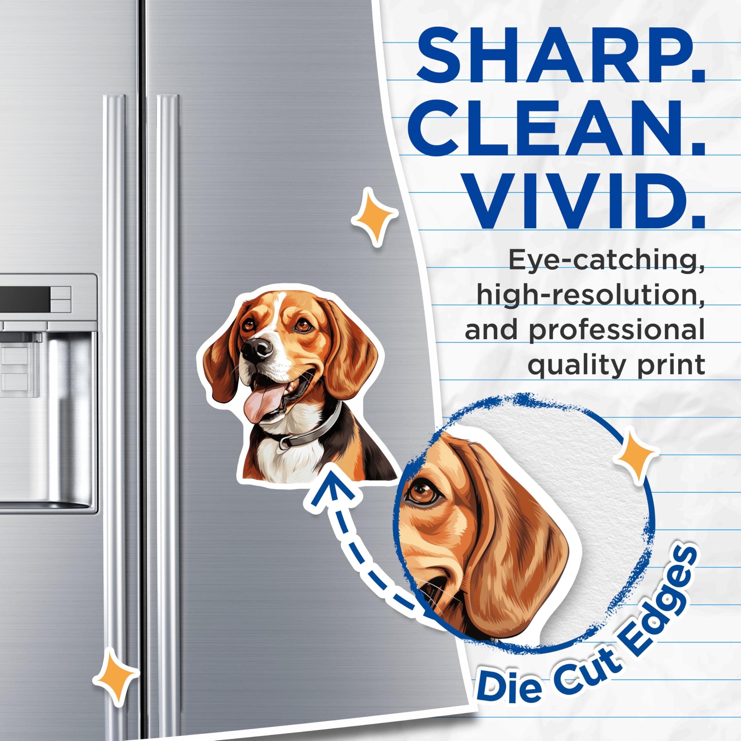 (2 Pack) Beagle Dog Magnets - Happy Canine Head Illustration - Pet Owner Kitchen Decor - Refrigerator Locker Accent - 5 Inches On Longest Side - Thick Durable Magnet - Made in USA - MAG27346