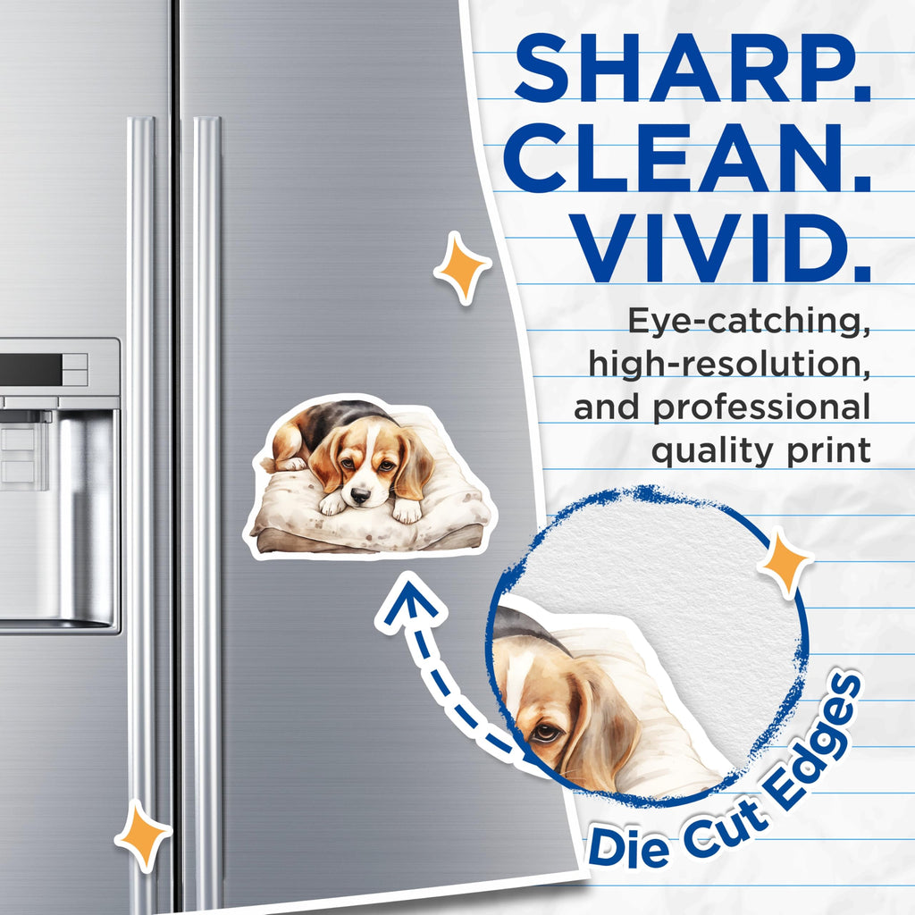 (2 Pack) Beagle Dog Magnets - Cute Pet Artwork - Home Decor Magnets - 5" On Longest Side - Premium Magnet - for Cars, Refrigerators, Toolboxes, Lockers - Made in USA - MAG17012
