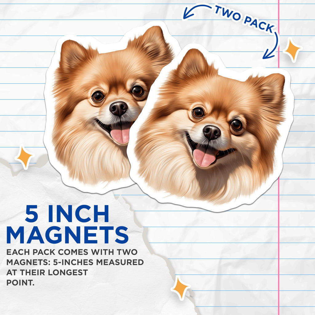 (2 Pack) Smiling Pomeranian Dog Magnets - Cute Fluffy Pet Lover Decor - Dog Mom Puppy Fridge Accessories - 5 Inches On Longest Side - Thick Durable Magnet - Made in USA - MAG25988