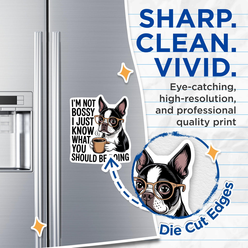 (2 Pack) Bossy Boston Terrier Magnets - Know What You Should Be Doing - Funny Coffee Dog Lover Decor - 5 Inches On Longest Side - Thick Durable Magnet - Made in USA - MAG21637