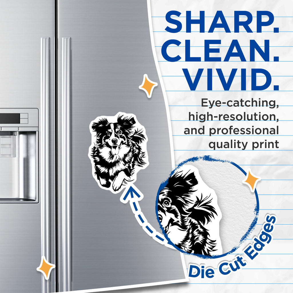 (2 Pack) Border Collie Magnets - Dog Lovers Decor - Pet Owner Appreciation Refrigerator Magnets - 5 Inches On Longest Side - Thick Durable Magnet - Made in USA - MAG39099