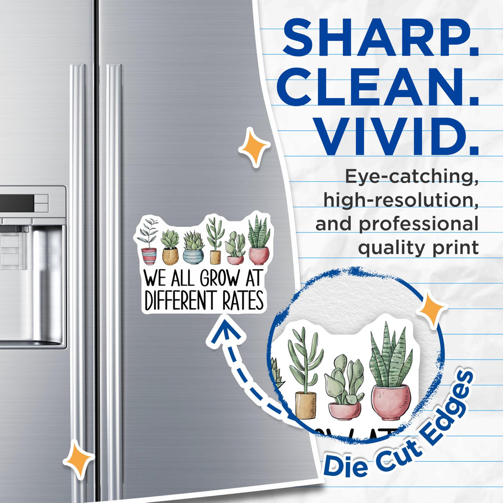 (2 Pack) Potted Plants Magnets - Funny Plant Quote - Motivational Fridge Magnets - 5" On Longest Side - Premium Magnet - for Cars, Refrigerators, Toolboxes, Lockers - Made in USA - MAG17461