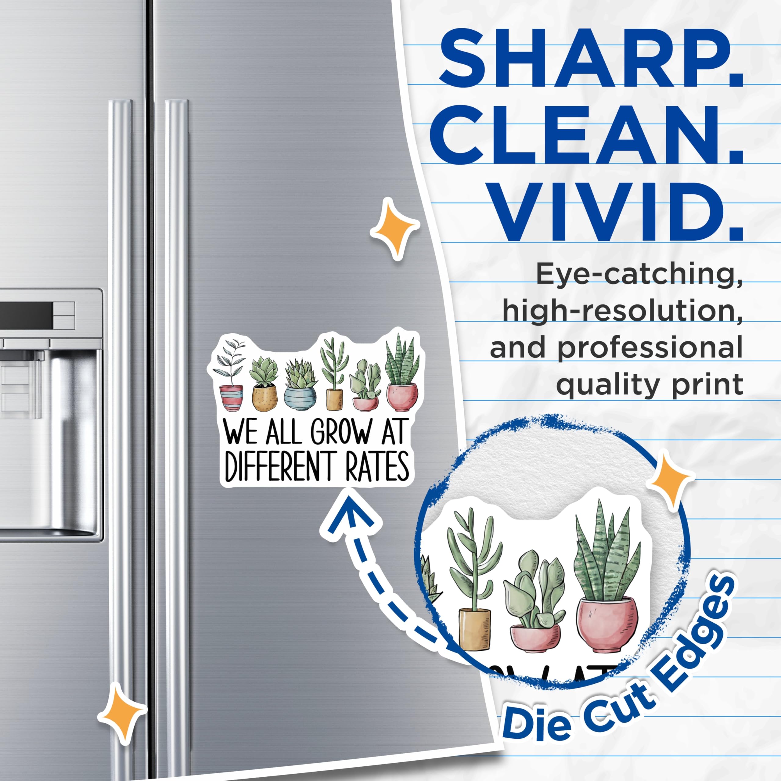(2 Pack) Potted Plants Magnets - Funny Plant Quote - Motivational Fridge Magnets - 5" On Longest Side - Premium Magnet - for Cars, Refrigerators, Toolboxes, Lockers - Made in USA - MAG17461