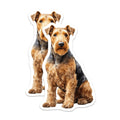(2 Pack) Airedale Terrier Magnets - Dog Lover Fridge Decor - Pet Portrait Art - Terrier Breed Accessory for Dog Moms Dads - 5 Inches On Longest Side - Thick Durable Magnet - Made in USA - MAG25402