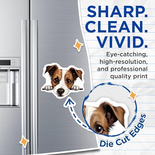 (2 Pack) Pet Lover Decor Magnet - 5" On Longest Side - Sticks to Smooth Flat Surfaces - Made in USA - MAG10205