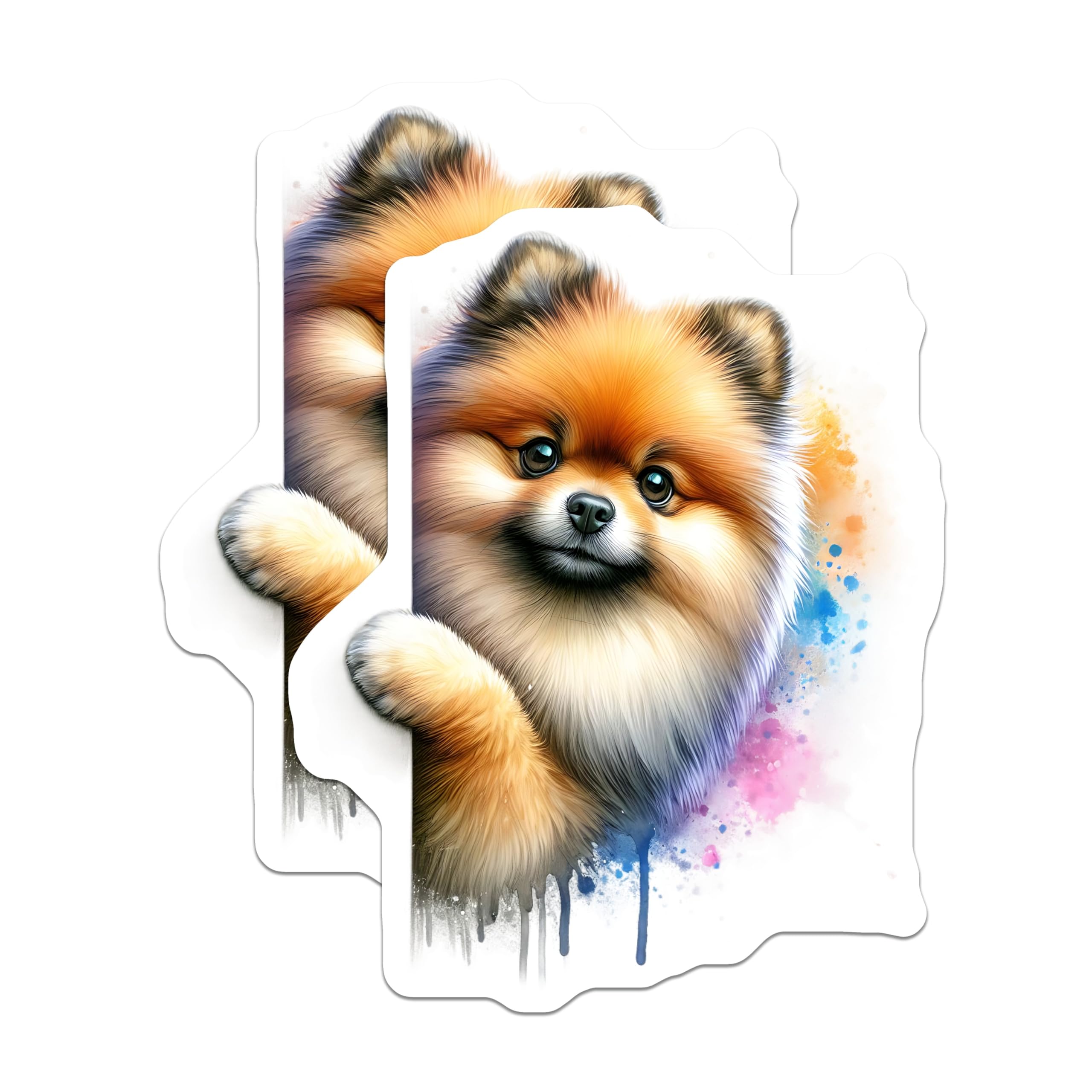 (2 Pack) Pomeranian Magnets - Cute Dog Art - Watercolor Dog Lovers - 5" On Longest Side - Premium Magnet - for Cars, Refrigerators, Toolboxes, Lockers - Made in USA - MAG14095