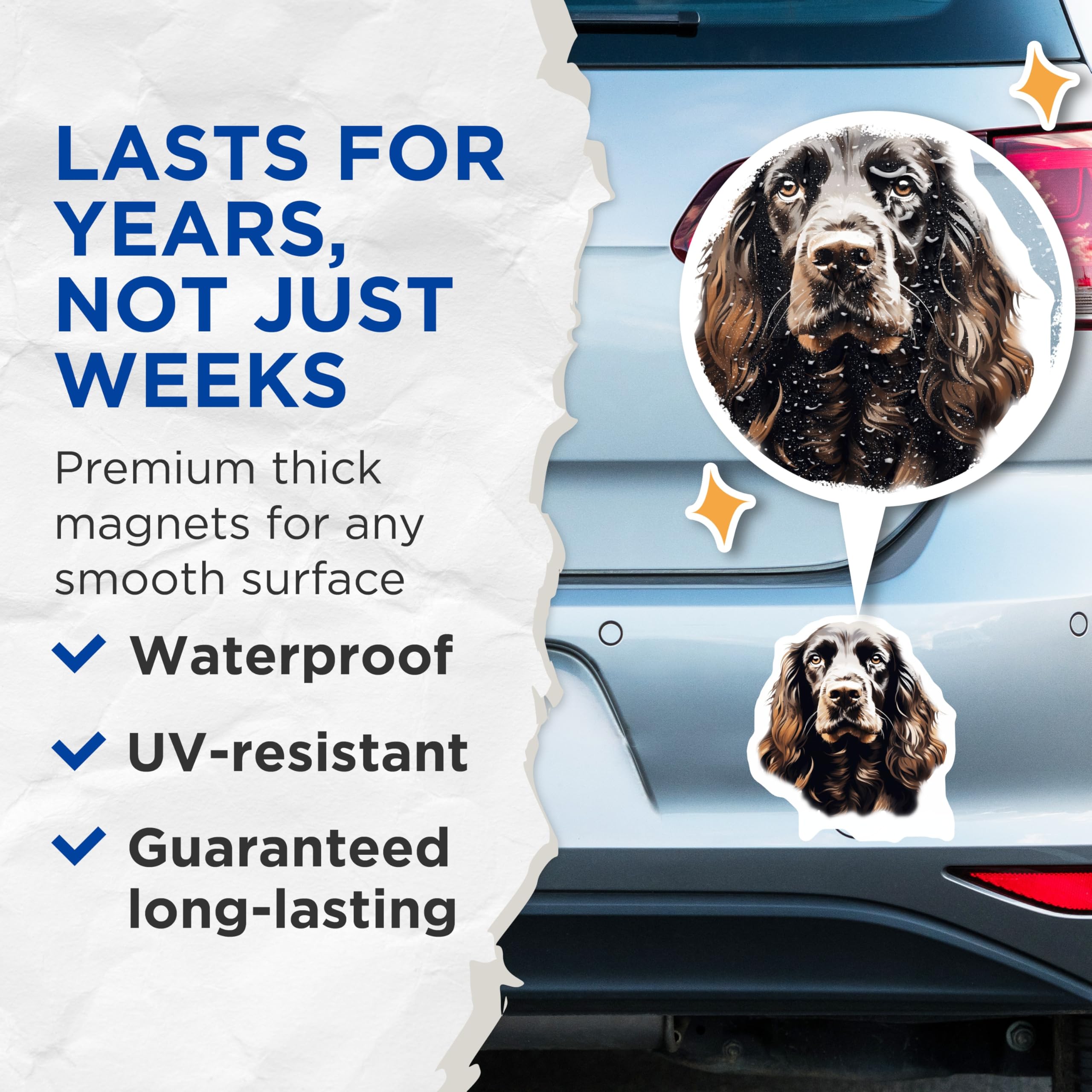 (2 Pack) Brown Cocker Spaniel Magnets - Dog Lover Decor - Pet Portrait Art for Fridge - 5 Inches On Longest Side - Thick Durable Magnet - Made in USA - MAG23735