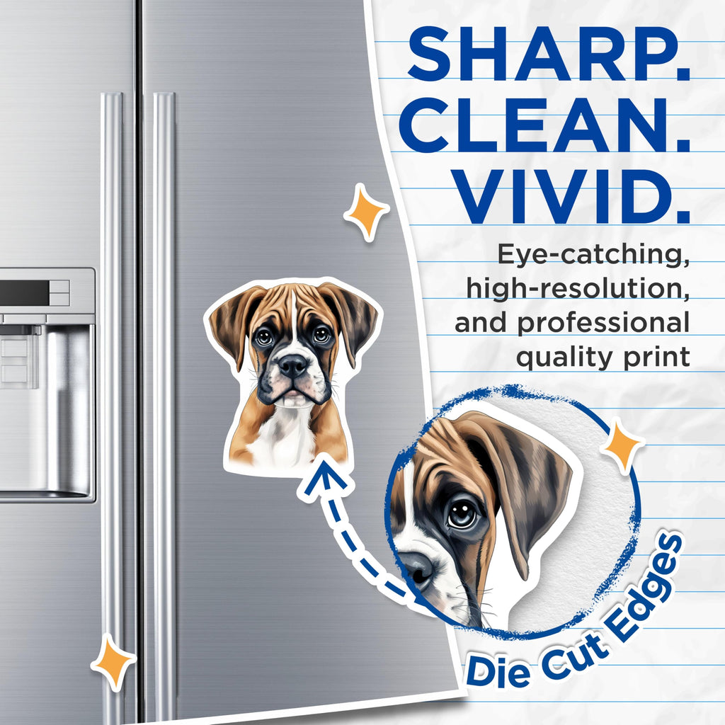 (2 Pack) Boxer Puppy Dog Magnets - Adorable Pet Lover Present - Boxer Mom Dad Kitchen Home Decor - 5 Inches On Longest Side - Thick Durable Magnet - Made in USA - MAG27438