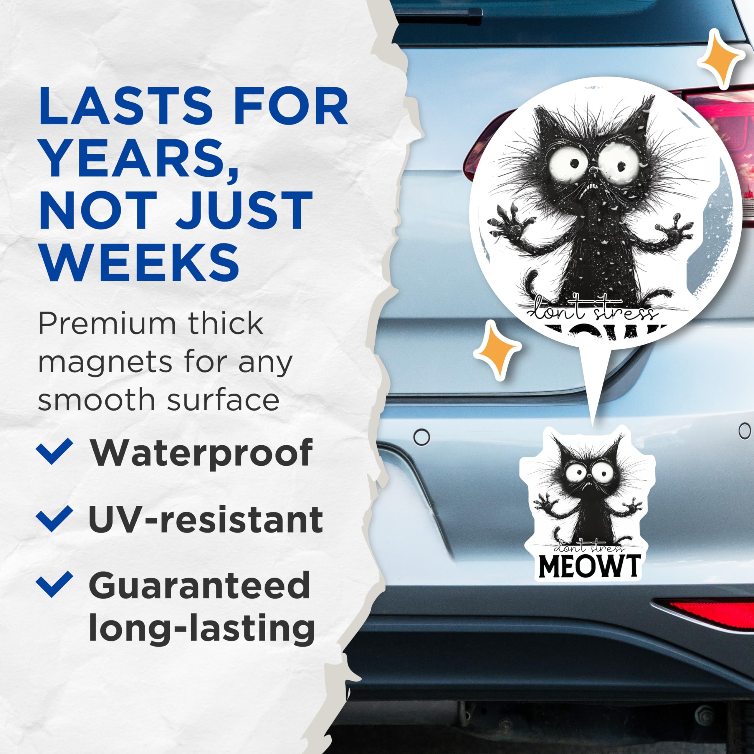 (2 Pack) Crazy Cat Lady Magnets - Funny Black Cat - Don't Stress Meowt Refrigerator Decor - 5" On Longest Side - Premium Magnet - for Cars, Refrigerators, Toolboxes, Lockers - Made in USA - MAG14598