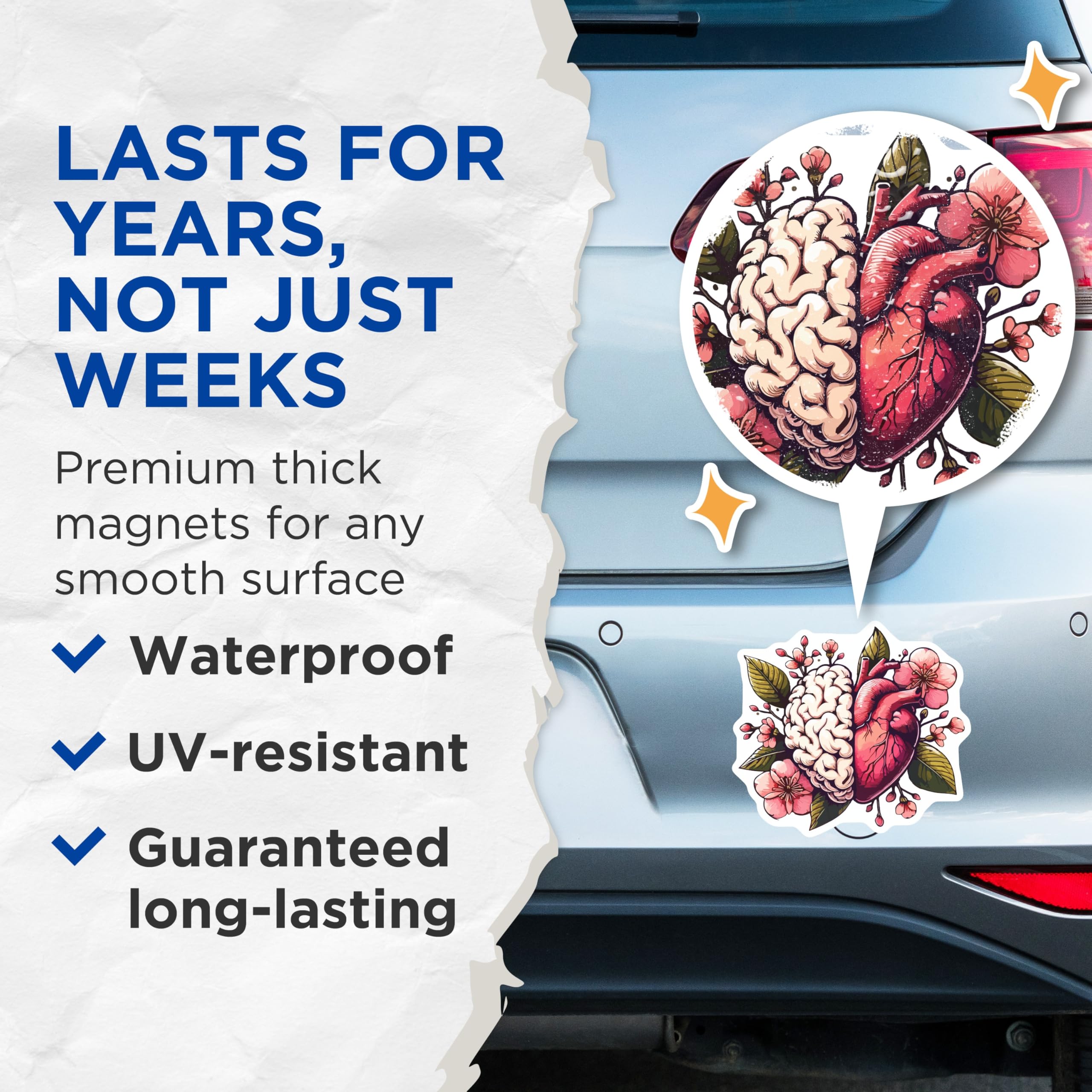 (2 Pack) Brain Heart Magnets - Floral Anatomy Art - Mind and Emotion Organ Design - Cherry Blossom Connection Decor - 5 Inches On Longest Side - Thick Durable Magnet - Made in USA - MAG19662