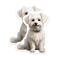 (2 Pack) Maltese Dog Magnets - Cute Fluffy Puppy Refrigerator Decor - Adorable White Canine Pet Lover Home Decor - 5 Inches On Longest Side - Thick Durable Magnet - Made in USA - MAG24240