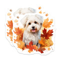 (2 Pack) Maltese Dog Magnets - Cute Autumn Puppy Decor - Fall Maple Leaves Refrigerator Magnets - 5 Inches On Longest Side - Thick Durable Magnet - Made in USA - MAG24109
