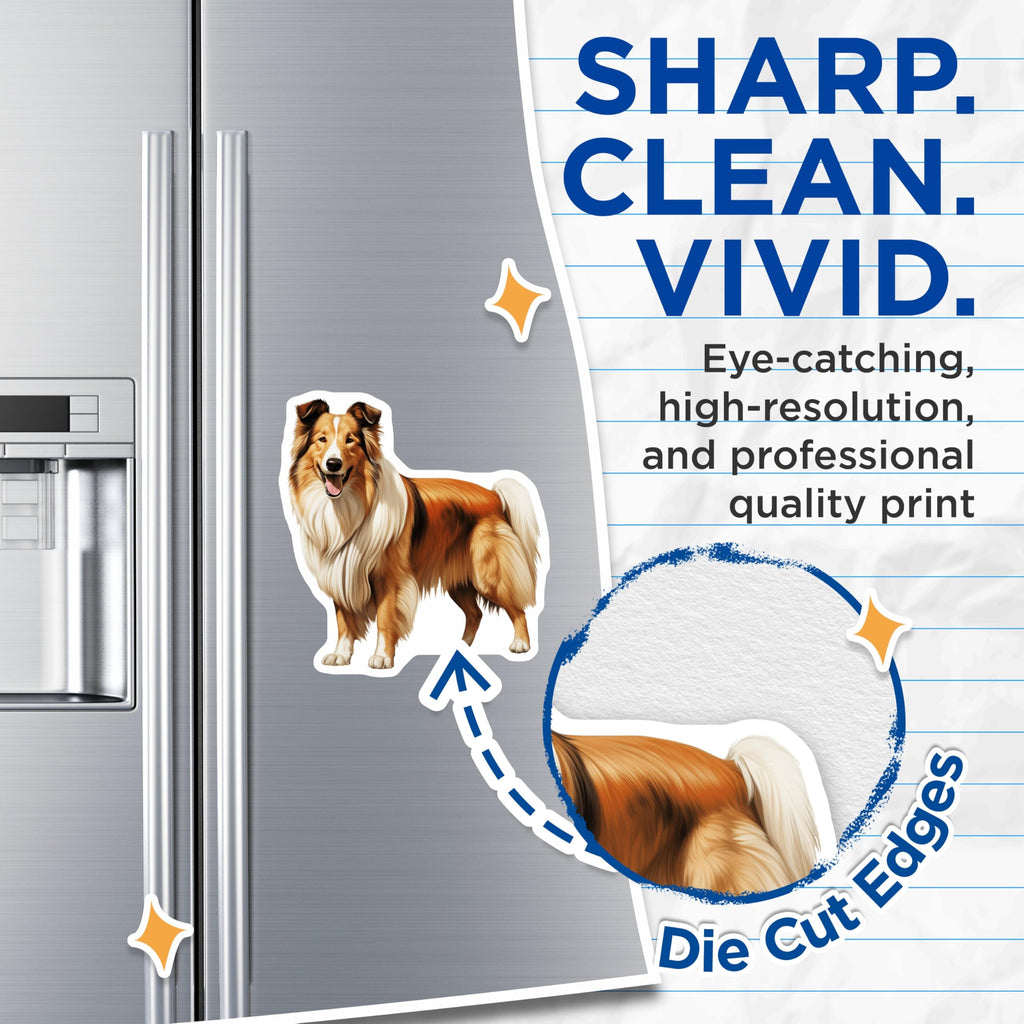 (2 Pack) Rough Collie Magnets - Dog Lover Decor - Pet Parent Accessories - 5 Inches On Longest Side - Thick Durable Magnet - Made in USA - MAG28837