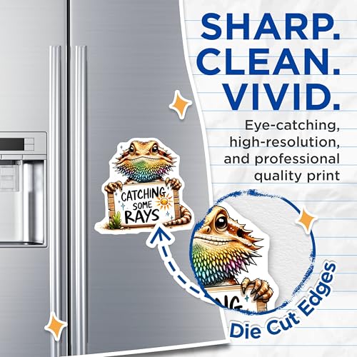 (2 Pack) Catching Some Rays Magnets - Bearded Dragon Art - Fun Reptile - Colorful Animal Magnets - 5" On Longest Side - for Cars, Fridges, Toolboxes - Made in USA - MAG3732