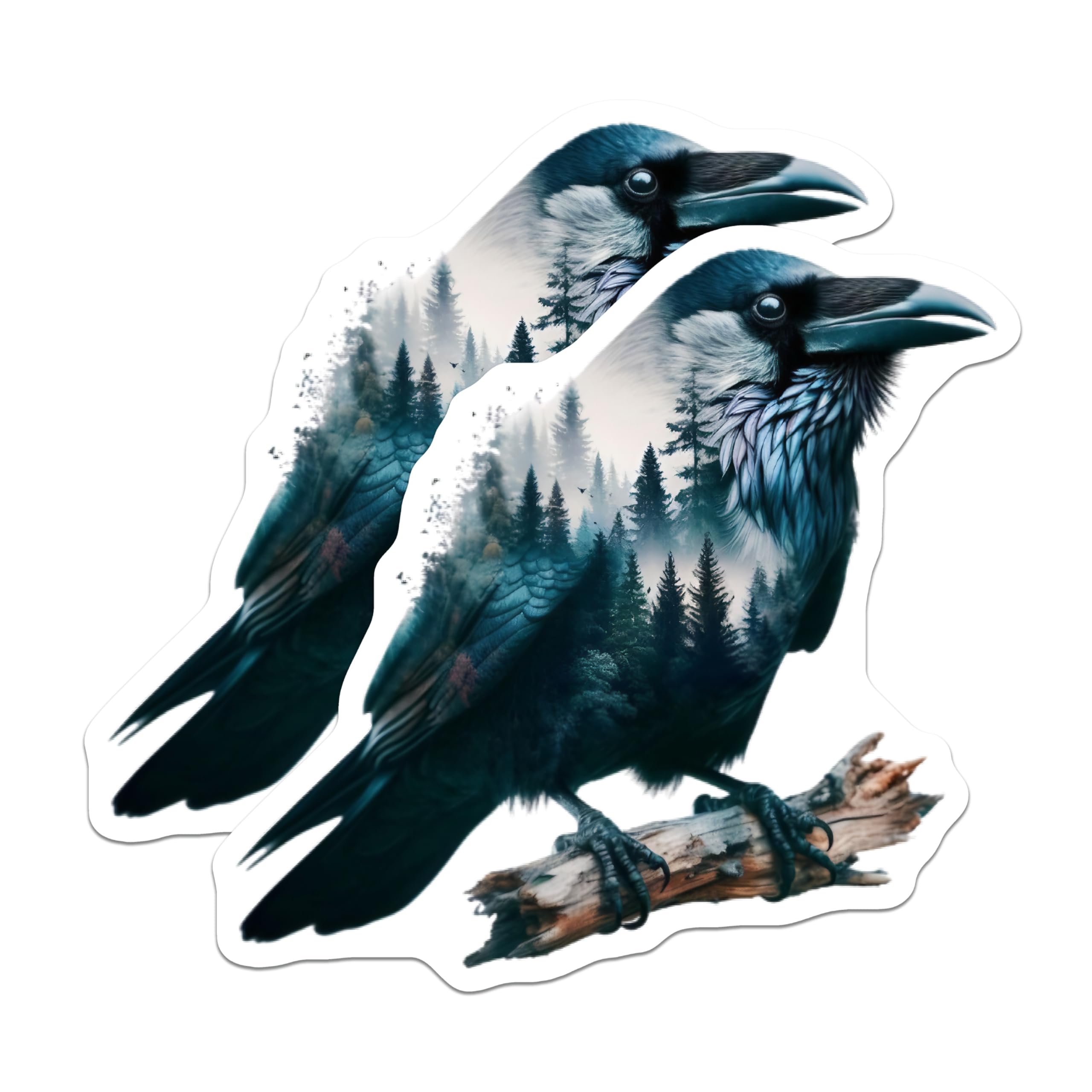 (2 Pack) Raven Magnets - Forest Bird - Nature Art Refrigerator Decor - 5" On Longest Side - Premium Magnet - for Cars, Refrigerators, Toolboxes, Lockers - Made in USA - MAG14430