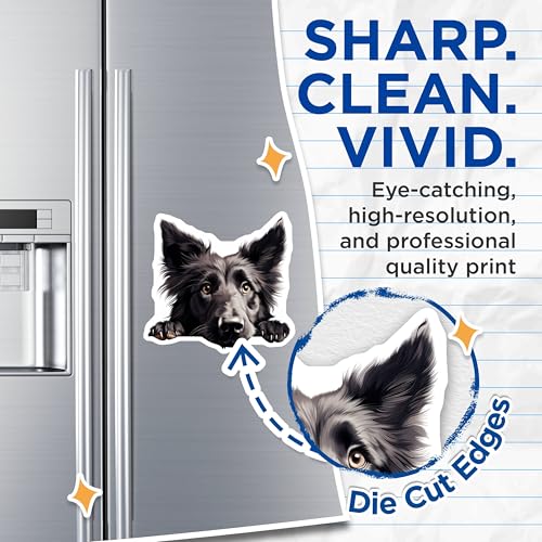 (2 Pack) Animal Lover Decor Magnet - 5" On Longest Side - Sticks to Smooth Flat Surfaces - Made in USA - MAG9861
