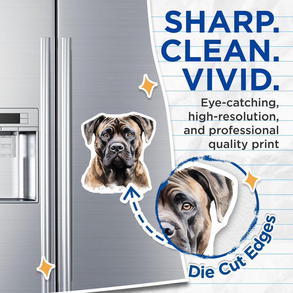 (2 Pack) Mastiff Dog Magnets - Watercolor Pet Art - Dog Owner Decor - 5 Inches On Longest Side - Thick Durable Magnet - Made in USA - MAG27449