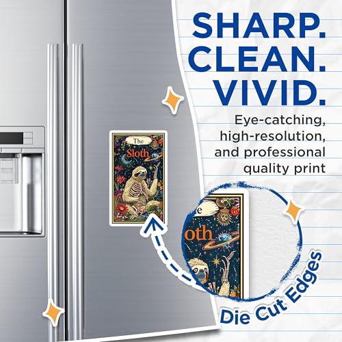 (2 Pack) Sloth Skeleton Magnets - Funny Sloth - Cute Animal Magnet for Refrigerator or Locker - 5" On Longest Side - for Cars, Fridges, Toolboxes - Made in USA - MAG3686