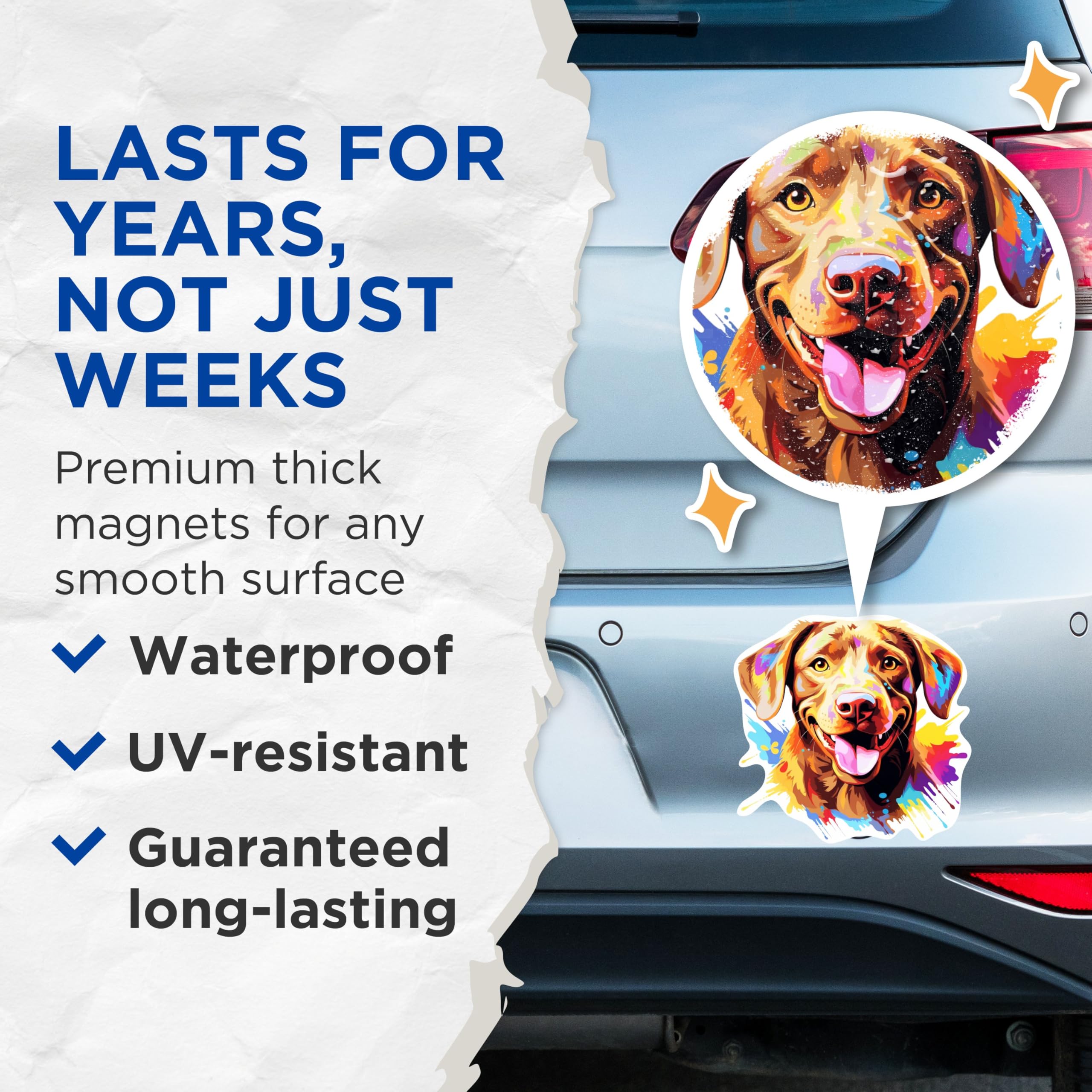 (2 Pack) Chesapeake Bay Retriever Dog Breed Magnets - 5 Inches On Longest Side - Choose from Over 100 Dog Breeds - for Cars, Refrigerators, Toolboxes - Made in USA - MAG1823