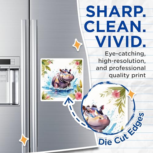 (2 Pack) Adorable Hippo Magnets Magnets - Animal Art - Kitchen Decor - 5" On Longest Side - Made in USA - Sticks to Refrigerators & Metal Surfaces - MAG8700