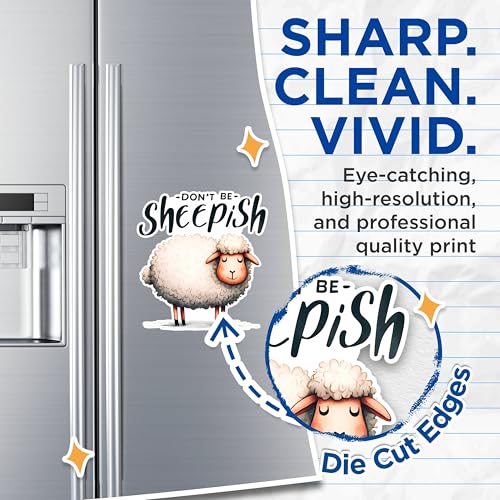 (2 Pack) Dont Be Sheepish Magnets - Cute Sheep Refrigerator Magnets - Animal Joke Magnets for Kitchen Decor- 5" On Longest Side - for Fridges, Toolboxes, Cars - Made in USA - MAG2645
