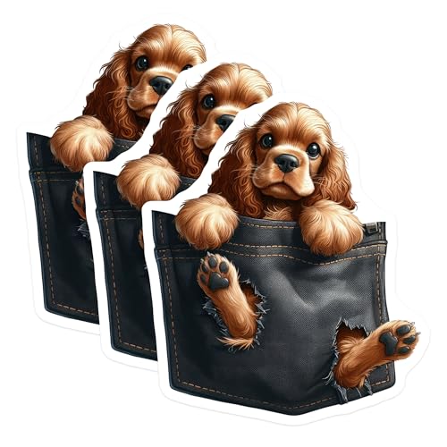 (3 Pack) Puppy Decals - Cavalier Spaniel Sticker - Pocket Dog Decal - 3 Inches On Longest Side - Easy Peel & Apply - Made in USA - 3MCS2741