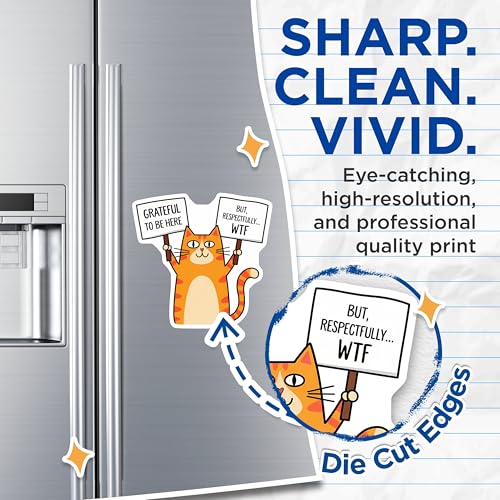 (2 Pack) Grateful to Be Here WTF Cat Magnets - Funny Cat Magnets - Humorous Fridge Magnets for Home or Office - 5" On Longest Side - for Cars, Refrigerators, Toolboxes, Lockers - Made in USA BMCS3308