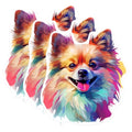 (3 Pack) Pomeranian Decals - Colorful Dog Stickers - Laptop Car Decal - 3 Inches On Longest Side - Easy Peel & Apply - Made in USA - 3MCS0793