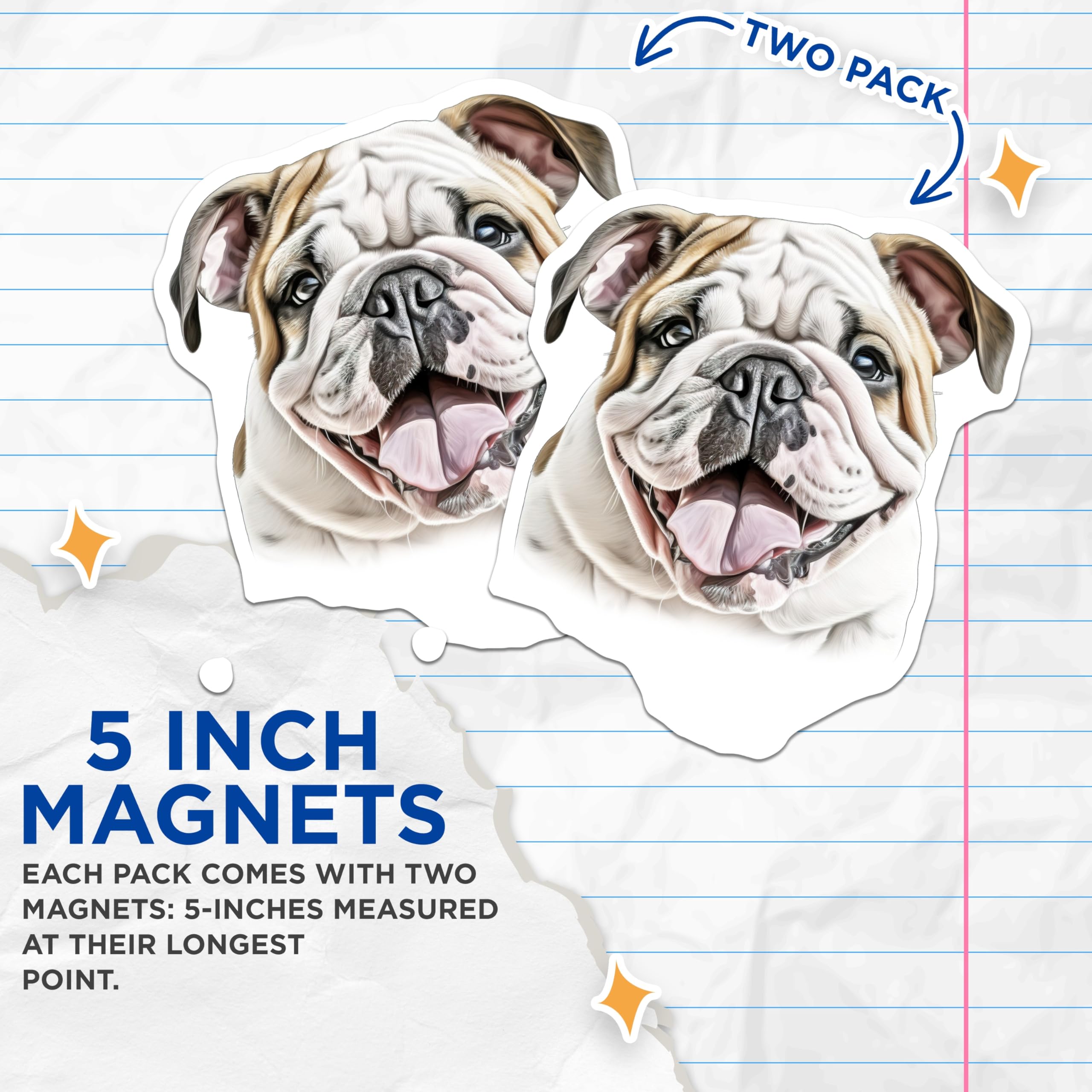 (2 Pack) English Bulldog Magnets - Cute Bulldog Puppy - Pet Lover Fridge Decor Dog Owner Present - 5 Inches On Longest Side - Thick Durable Magnet - Made in USA - MAG29219